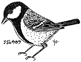 シジュウカラ