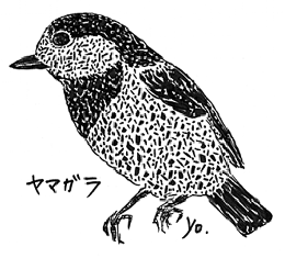 쒹ΎL@}K